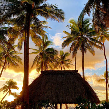 Coconut Beach Resort 5